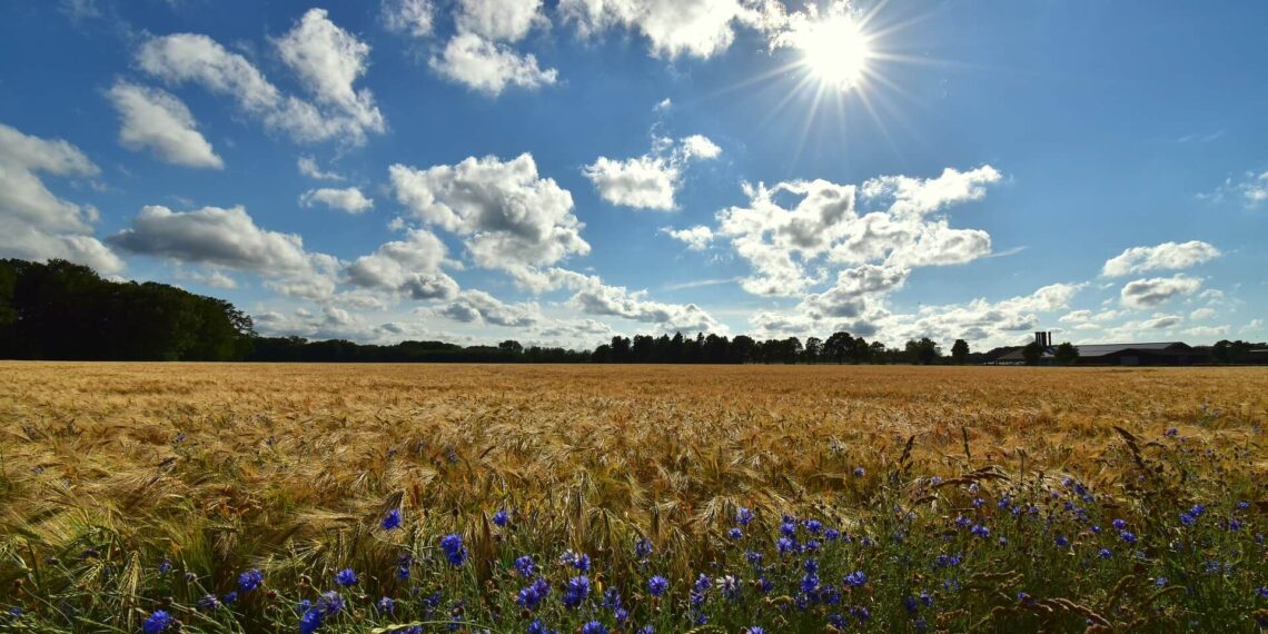 Agrarunternehmen unterstützen bei der Feldarbeit, moderne Landwirtschaft